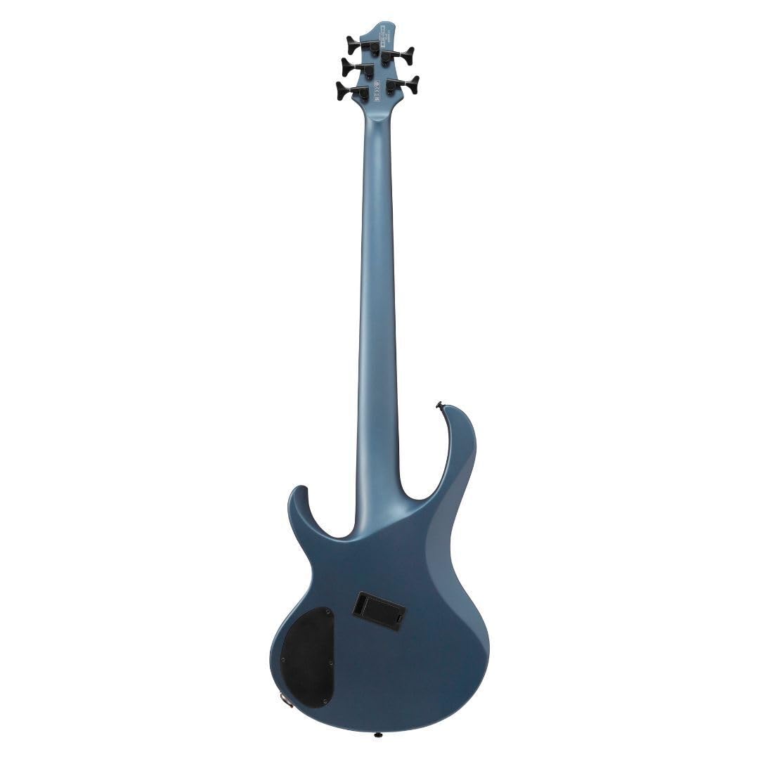 Amazon.com: Ibanez BTB605MS Bass Workshop 5-String Right-Handed
